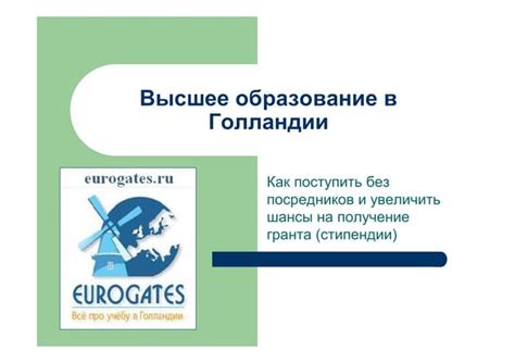Высшее образование в голландии | PPT
