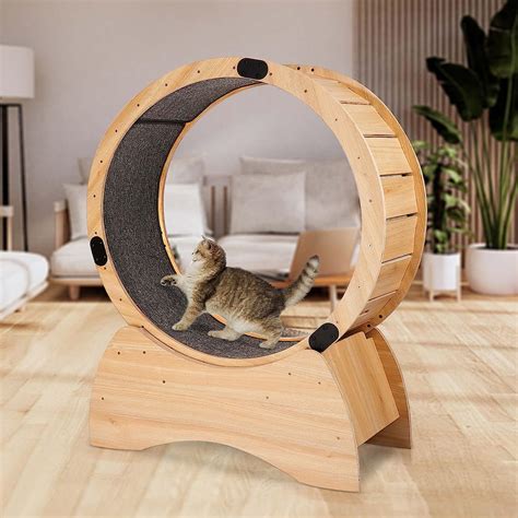 Amazon Cat Wheel Exerciser For Indoor Cats With An On Off Lock