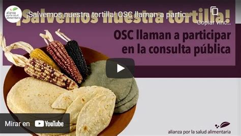 ¡salvemos Nuestra Tortilla Organizaciones De La Sociedad Civil Llaman