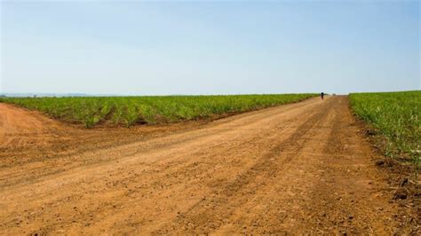 Sonhar Estrada De Terra Confira O Que Pode Ser