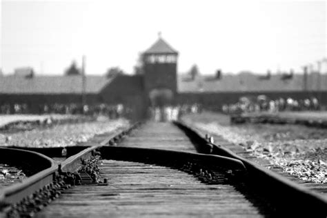 Liberazione Dei Cancelli Di Auschwitz Verit E Memoria Indelebili