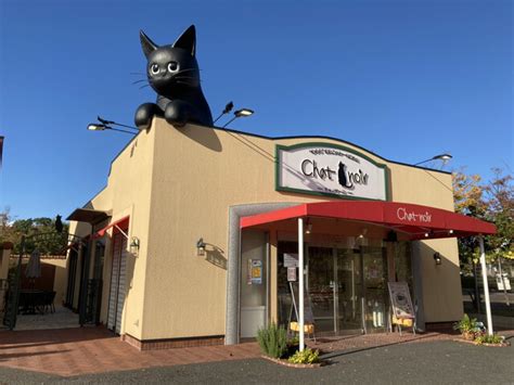 シャノワール 松井山手店 （chat Noir） 松井山手ケーキ 食べログ