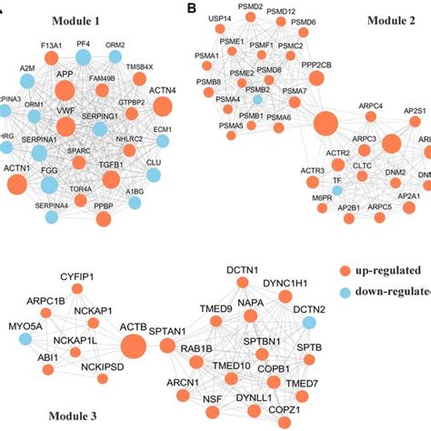 The Summary Of Top 20 Upregulated Differentially Expressed Proteins