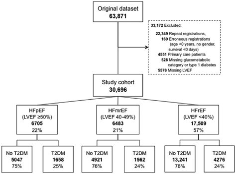 Flow Chart Of The Patient Selection Hfmref Heart Failure With