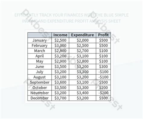 Efficiently Track Your Finances With The Blue Simple Income And