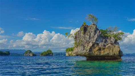 Snorkeling Packing List 8 Essentials To Bring To Raja Ampat