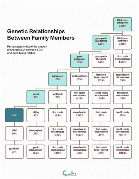 How Much DNA Do Family Members Share? (With Cousin Relationship Chart ...