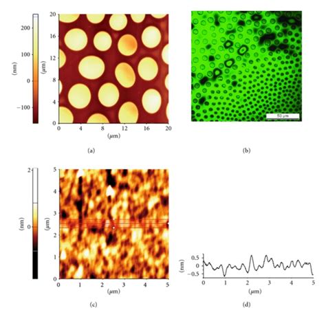 Atomic Force Microscope Afm Images Of A Polystyrene Ps And C