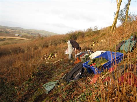 Lord Belmont in Northern Ireland: Hazel Coppicing