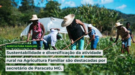 Sustentabilidade e diversificação da atividade rural na Agricultura