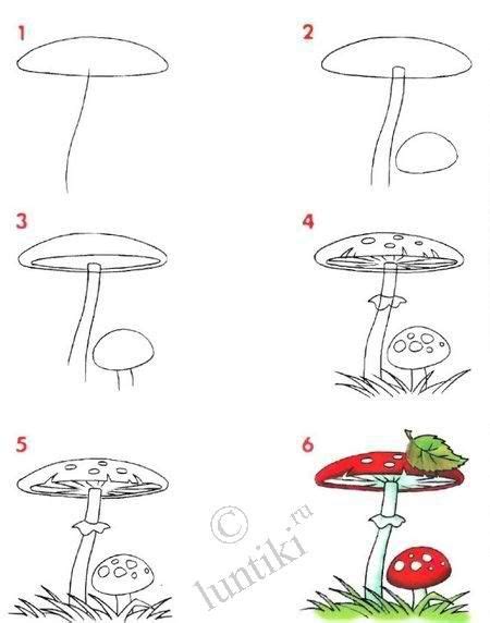 Paddenstoel Tekenen Met Kleuters How To Draw A Toadstool Or Mushroom