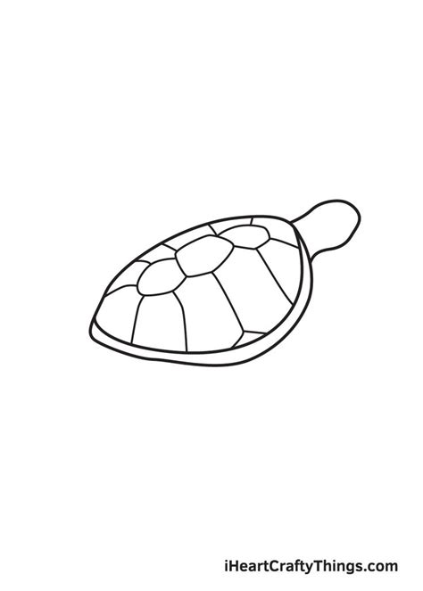 How To Draw A Sea Turtle Step By Step Guide Sea Turtle Drawing