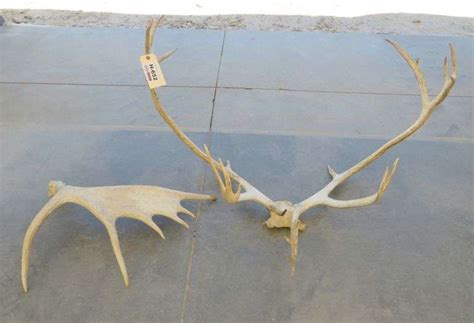 H 652 Antlers Pickett Auction Service