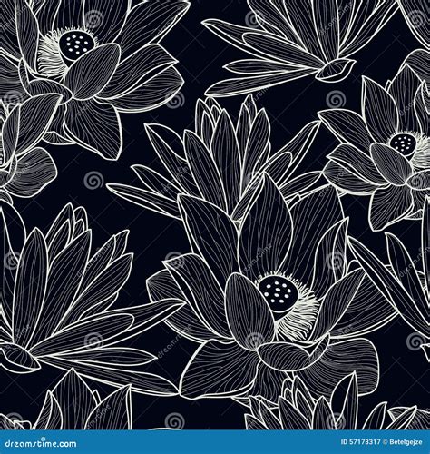 Vector Seamless Pattern With Hand Drawn Beautiful Lotus Flower Stock Vector Illustration Of