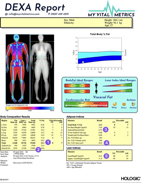 How To Read A Dexa Scan The Food Teacherthe Food Teacher