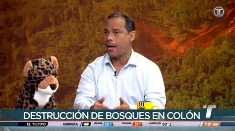 Fundaci N Adopta Bosque Pide Que Proyecto Corredor Del Caribe Sea