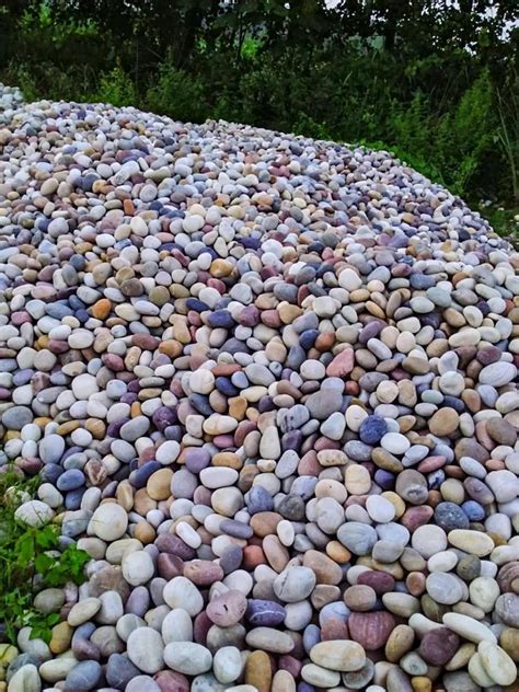 Natural River Pebble Stone Thickness 40 Mm At Best Price In Roorkee