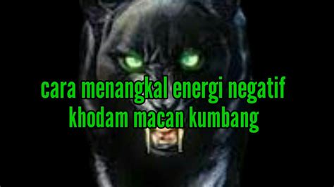 Tata Cara Menangkal Mengalahkan Energi Negatif Khodam Macan Kumbang