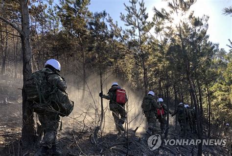 연기 속에서 산불 진화