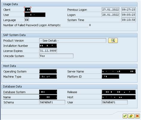 Eursap S Tip Of The Week Seeing The Full System Information In Sap S