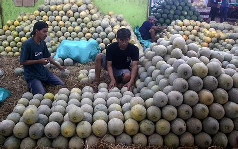 Penjualan Buah Di Pasar Induk Kramat Jati Meningkat