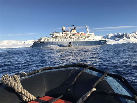 Quark Expeditions Antarctica Cruise Review Top 5 Secrets Revealed