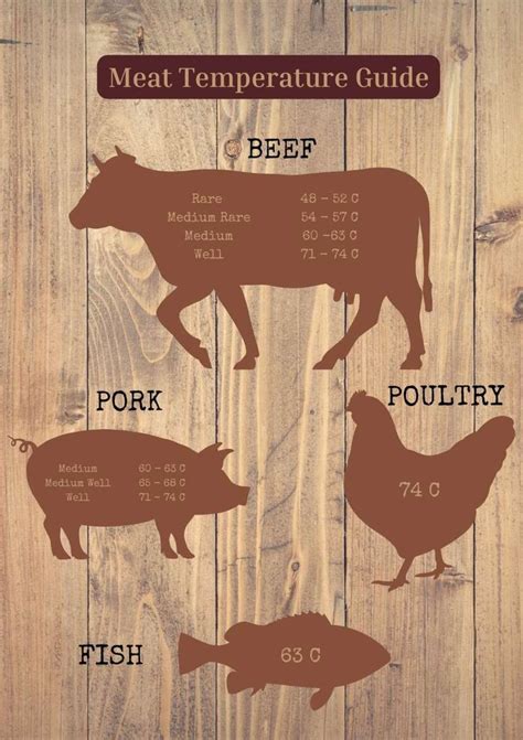 Meat Temperature Chart Medium Well Types Of Meat Cooking