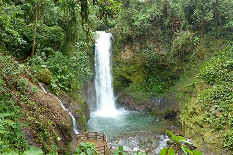 Alajuela Attractions Things To Do In Alajuela Costa Rica