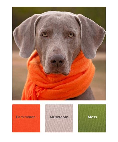 Find Your Autumn Colour Combinations Kettlewell Colours