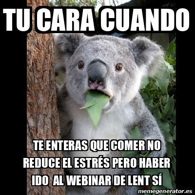 Meme Koala TU CARA CUANDO TE ENTERAS QUE COMER NO REDUCE EL ESTRÉS