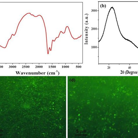 A Ftir Spectra B Xrd And C D Fluorescence Microscopic Image Of Download Scientific