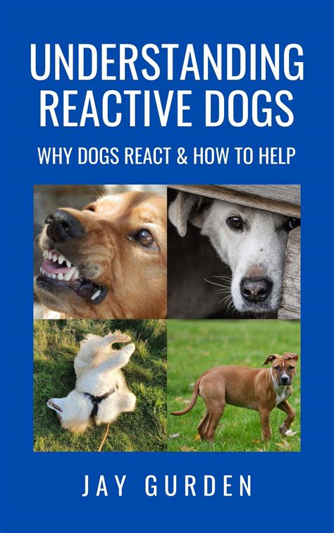 What Is Reactive Dog Behavior