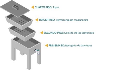 Cómo hacer una vermicompostera casera GreenCity by Matabi