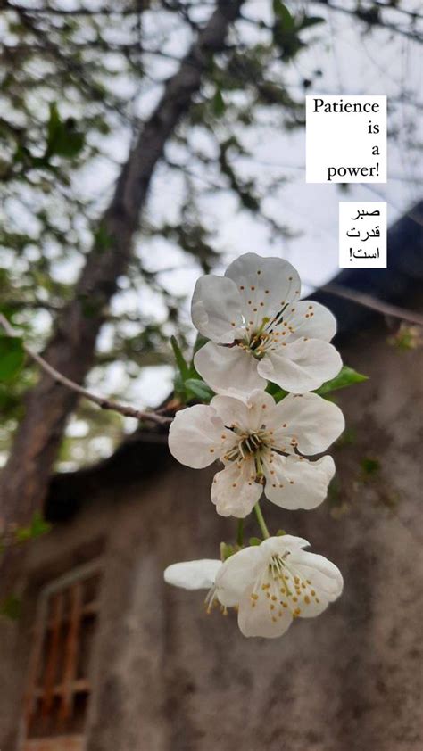 83 استوری صبح بخیر Ideas Text On Photo Instagram My Story Instagram