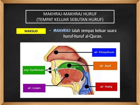 Tajwid Topik Makhraj Makhraj Huruf Ppt