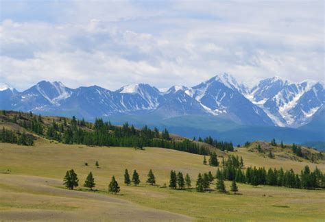 Best Altai Nature Reserve Stock Photos, Pictures & Royalty-Free Images - iStock