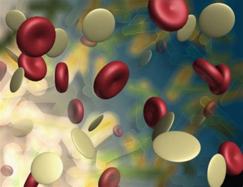 blood supply breakthrough functioning human platelets produced
