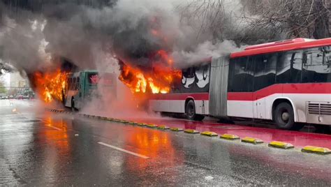 Cata Brautigam Lagomarsino On Twitter Rt T Dos Buses Del