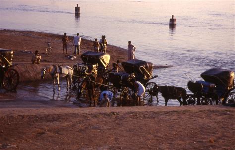 L Gypte Des Pharaons En Sandal Terralto