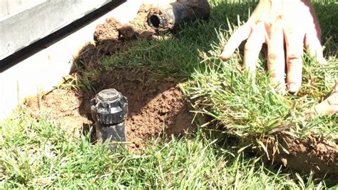 How To Replace A Sprinkler Head YouTube