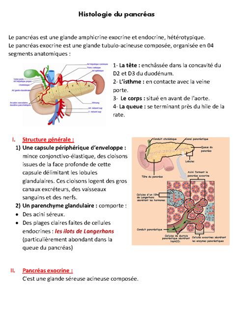 Histologie Du Pancr As Glandes Surr Nales Thyroide Et Parathyroide