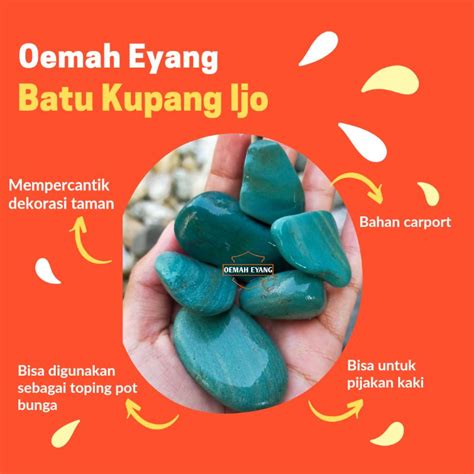 Jual Batu Hias Koral Kupang Hijau Tosca Cocok Untuk Dekorasi Taman