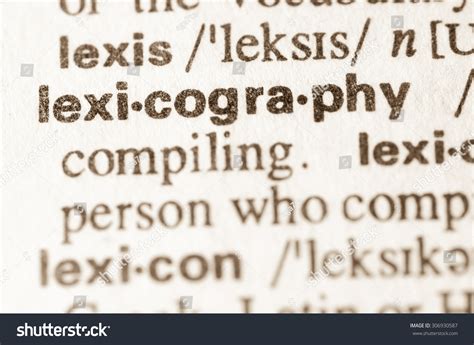 lexicography images stock  vectors shutterstock