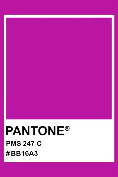 Pantone 247 C Pantone Color Pms Hex Pantone Pantone Color