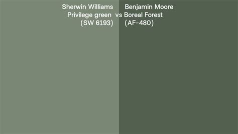 Sherwin Williams Privilege Green SW 6193 Vs Benjamin Moore Boreal