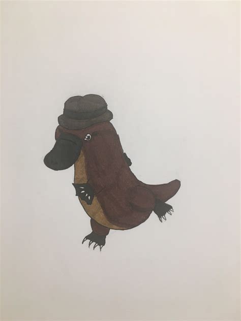 Realistic Perry the platypus : r/phineasandferb