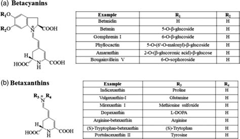 Chemical structure of (A) betacyanins and (B) betaxanthin, modified ...