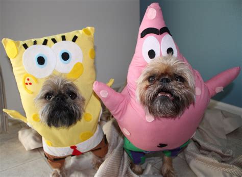 Cute Spongebob and Patrick Dog Costumes - Costume Yeti