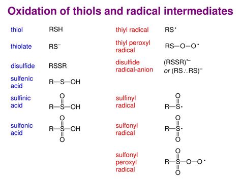 Ppt The Biological Chemistry Of Thiols Powerpoint Presentation Free Download Id728428