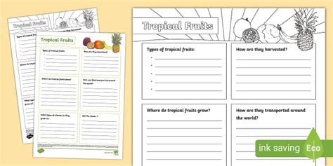 Tropical Fruits Fact File Template Professor Feito